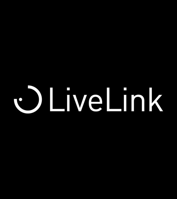 schnittstelle_livelink_logo.png